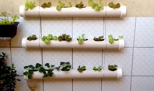 12 idéer för vertikala salladsträdgårdar som är lätta att göra själv