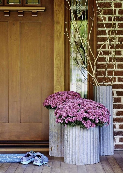 17 nejlepších rostlin pro vchodové dveře podle různých kultur