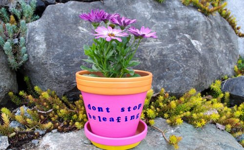 ဥယျာဉ်အတွက် DIY Pot ပန်းချီ အိုင်ဒီယာ ၅၀