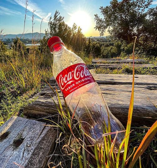11 presenetljivih načinov uporabe Coca Cole na vrtu