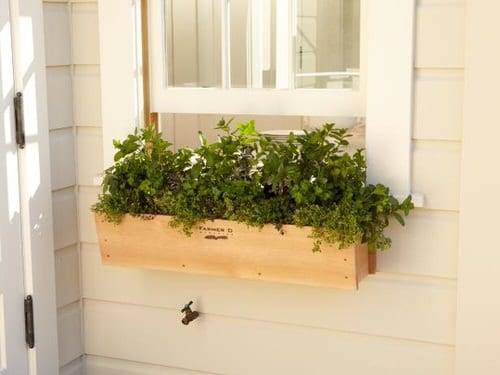 11 kreativnih idej za zeliščni vrt v okenski škatli