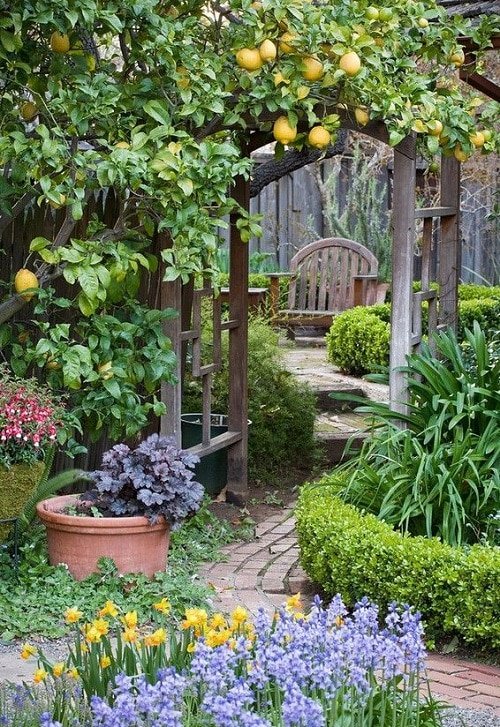13 načinov za ustvarjanje skrivnega vrta v majhnem prostoru