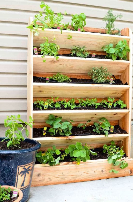 50 DIY vertikaalse aianduse ideed