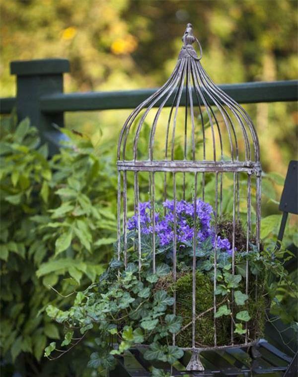 9 ideias fixes de jardineiras em gaiola DIY