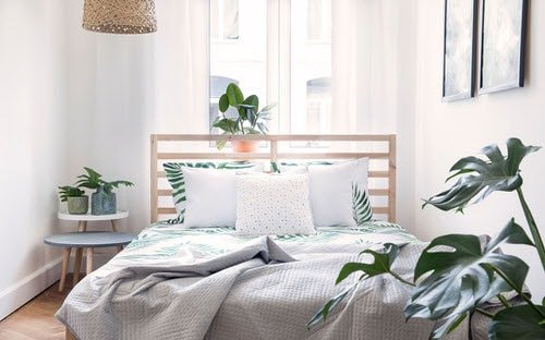 30 сјајних слика спаваће собе са биљкама у затвореном простору