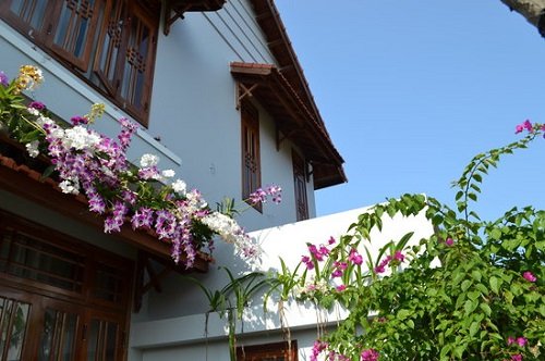 23 idej za balkonski vrt orhidej