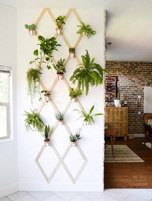 21 bláznivých nápadů na DIY mřížovou stěnu pro rostliny, které zvládne každý