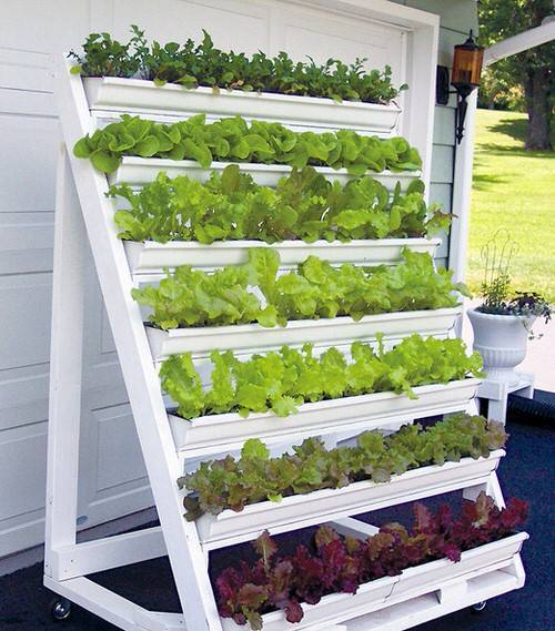 21 idej za vrt s solato DIY (Projekti sadilnikov za solato za vrtnarje)
