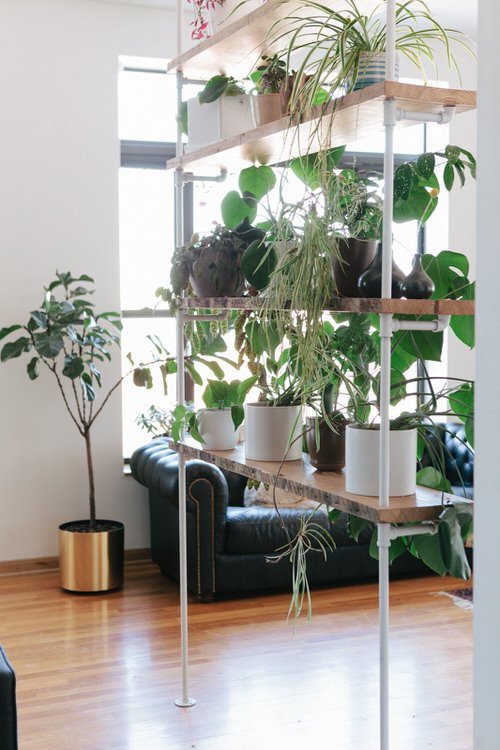 21 Ideias elegantes para divisórias de quarto com plantas de interior