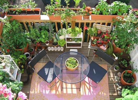 15 terrassil köögivilja aia ideed, et kasvatada rohkem vähemas ruumis