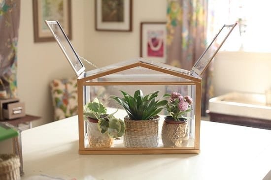24 DIY Mini Indoor Greenhouse Fikradaha Jiilaalka &amp; amp; Gu'ga hore