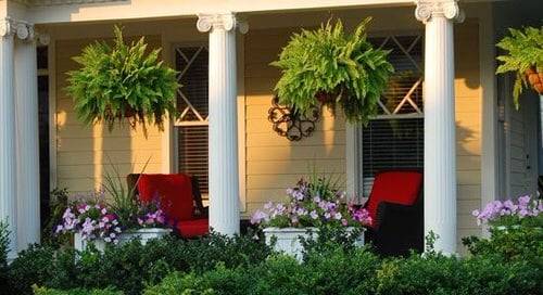 12 báječných nápadů na výzdobu přední verandy pomocí kapradin