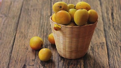 Kas mango on tsitrusvili või kivipuu?