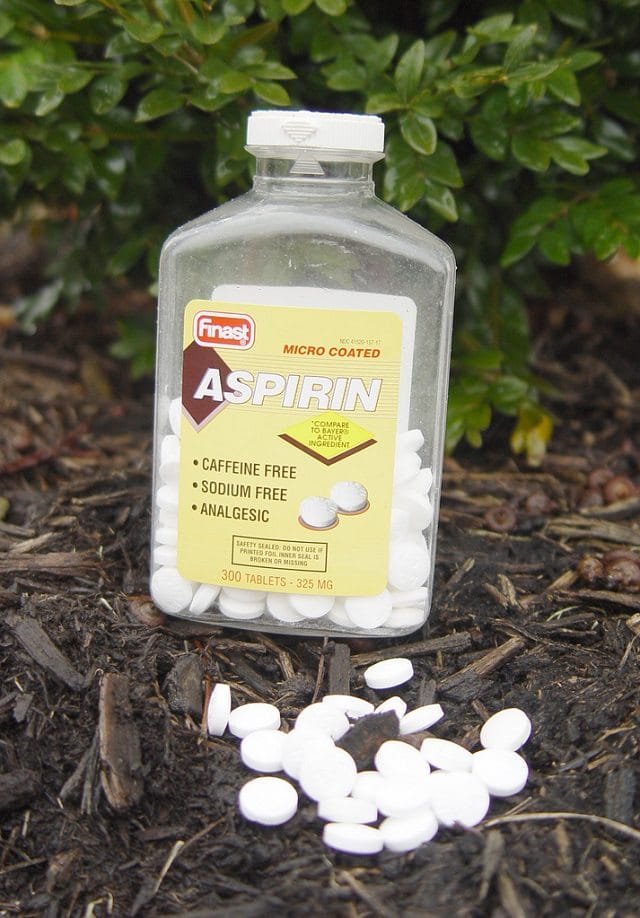 Aspirin Therapy: Aspirin používá v zahradě pro nejproduktivnější &amp; amp; Zdravé rostliny