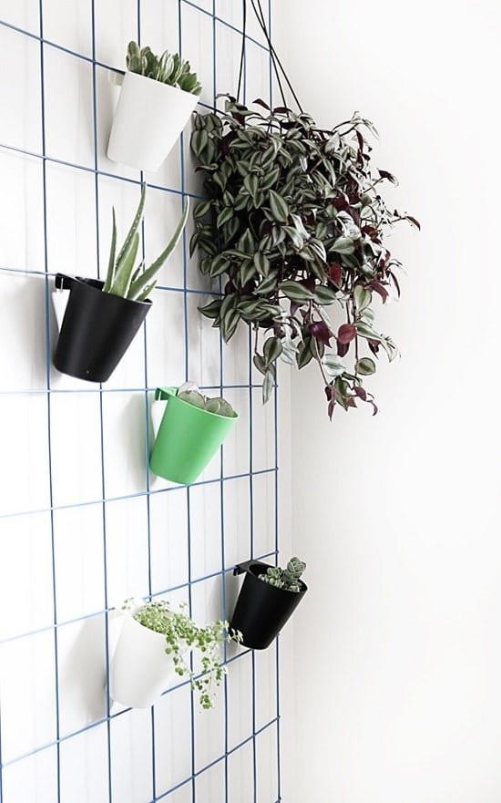 23 DIY siseruumide taimede seinaprojektid, mida igaüks saab teha