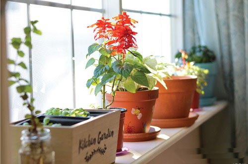14 DIY aknalaua laiendamise ideed, et kasvatada rohkem taimi